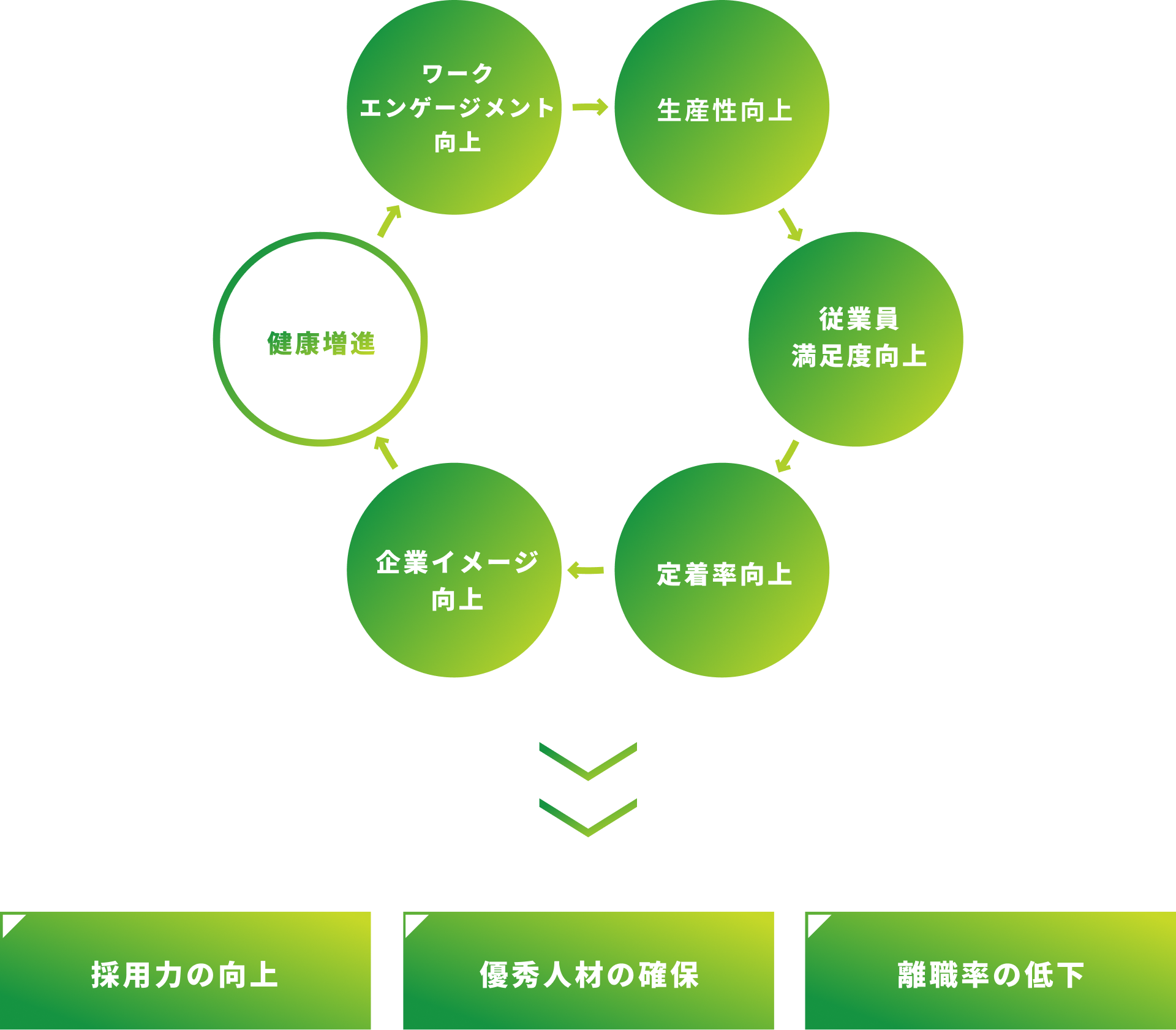 福利厚生導入による好循環を図に表したもの